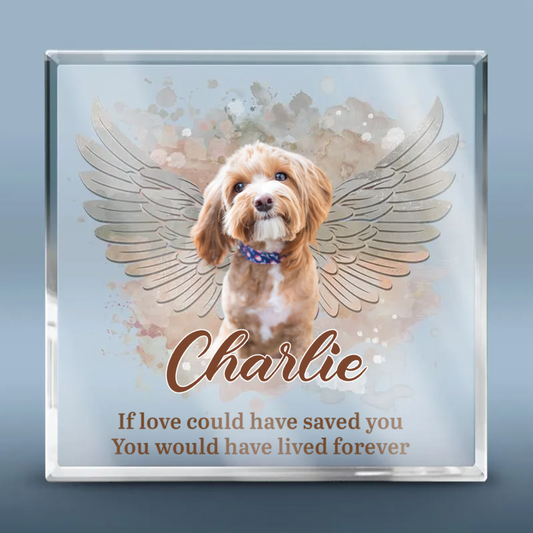 Pet Lovers - You Left Paw Prints On Our Hearts - Personalized Acrylic Plaque